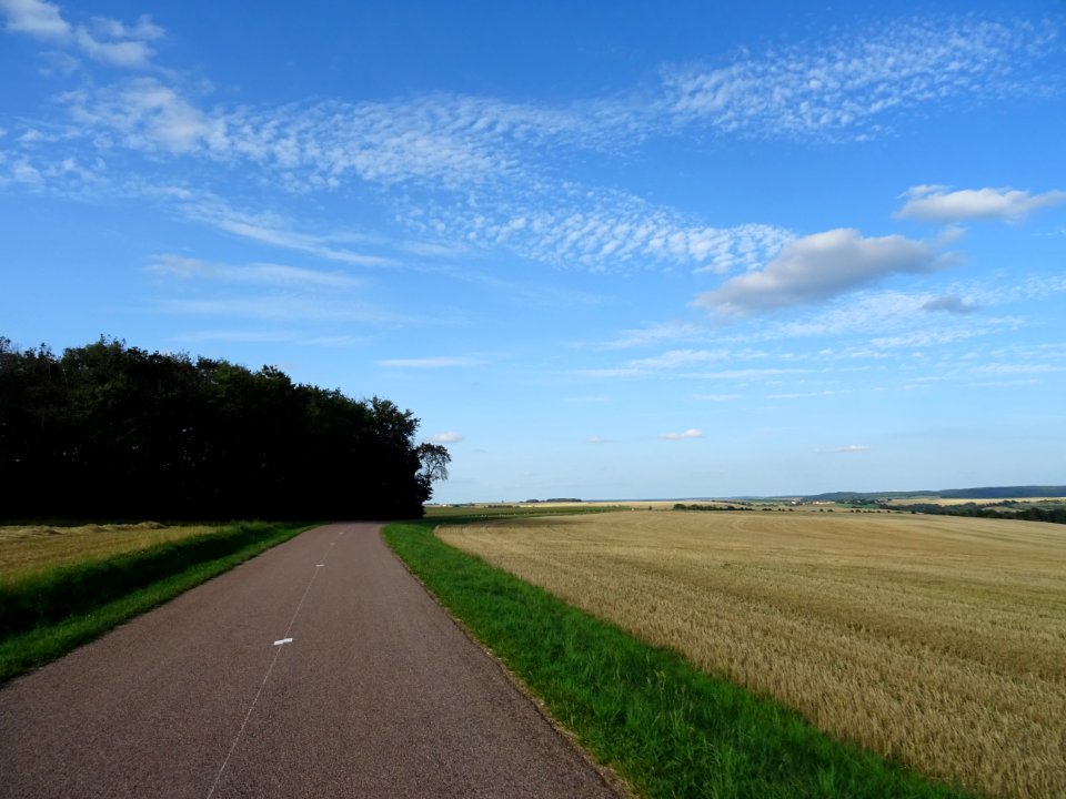 Sur la route entre Léry et Salives, Côte-d'Or 