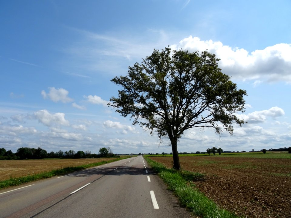 Sur la route entre Epoisse et Semur-en-Auxois, Côte-d'Or 