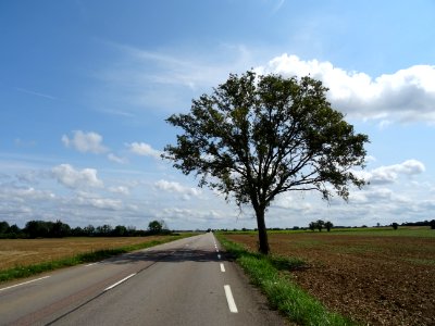 Sur la route entre Epoisse et Semur-en-Auxois, Côte-d'Or 