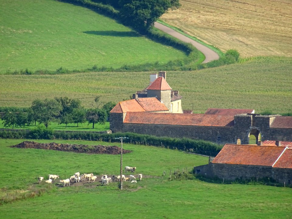 Ferme de Cherisy, vue depuis Montréal, Yonne 