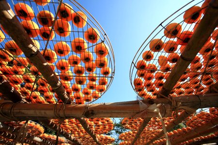 Chinese dry orange fruit food photo