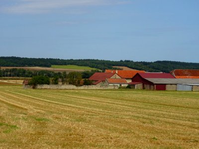 Ferme entre Cusy et Argenteuil-sur-Armançon, Yonne 