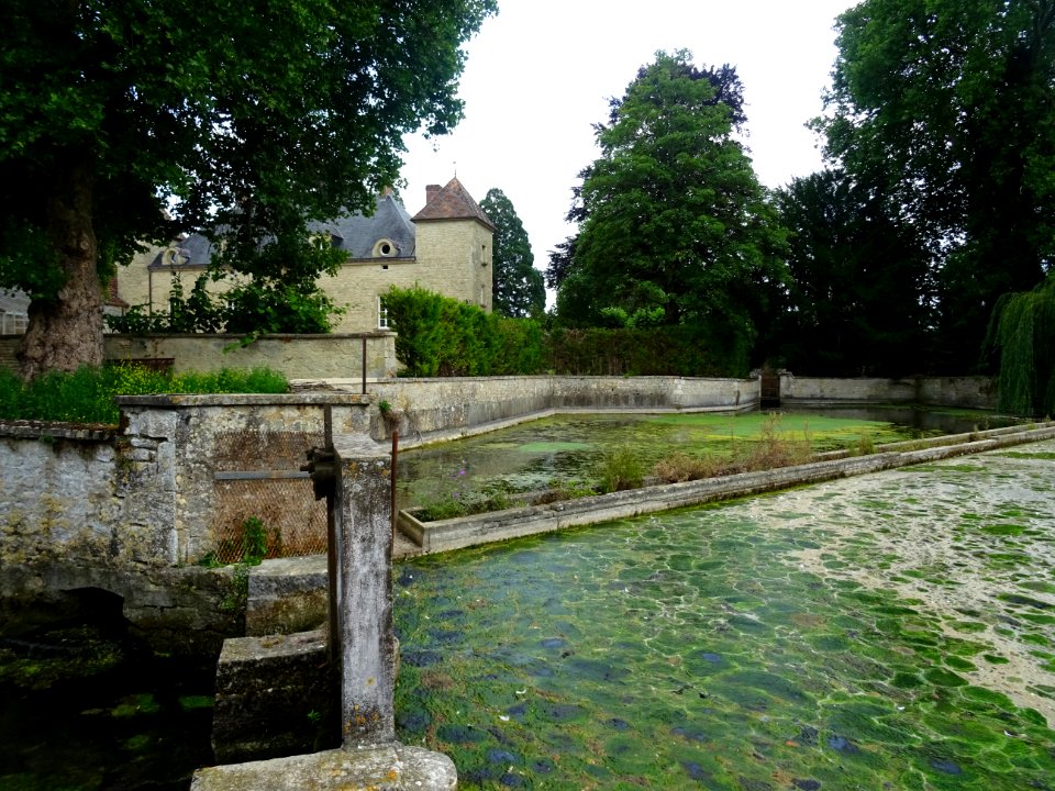 L'Armançon, à Argenteuil-sur-Armançon, Yonne 