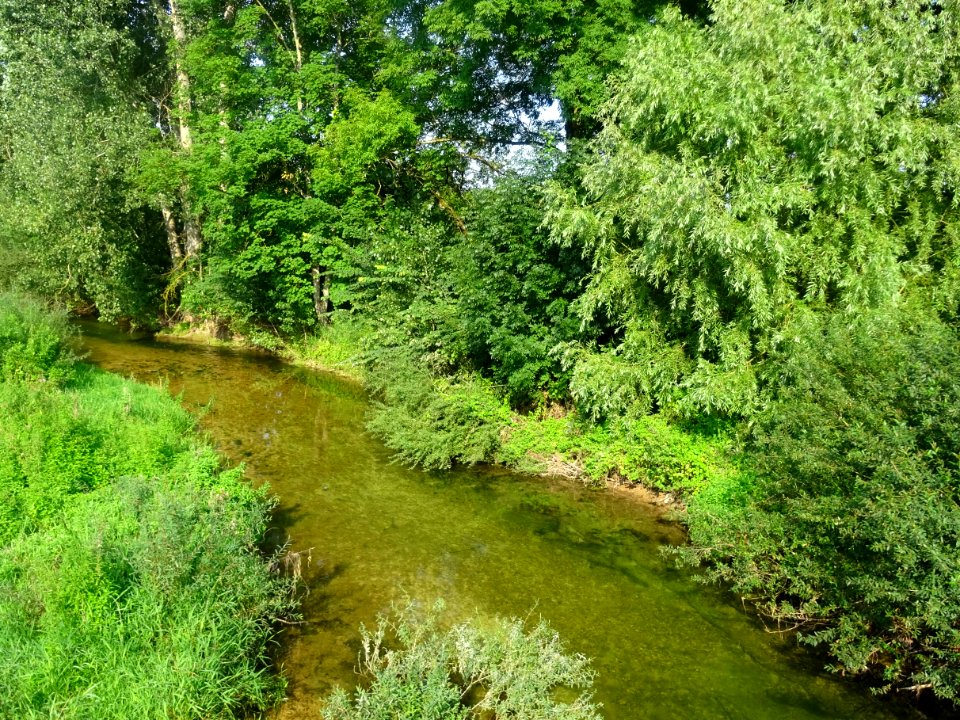 Au bord de l'Ource, Vanvey, Côte-d'Or 