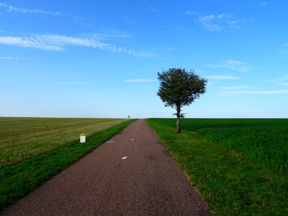 Sur la route entre Salives et Vesvrotte, Côte-d'Or 