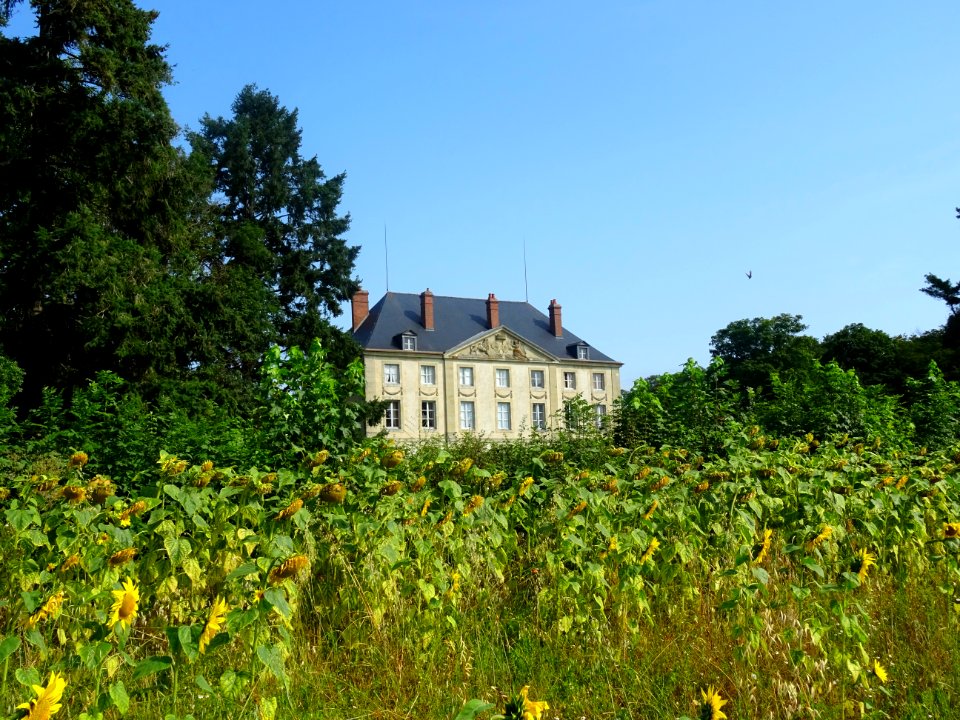 Château de Montjalin, commune de Sauvigny-le-Bois, Yonne 