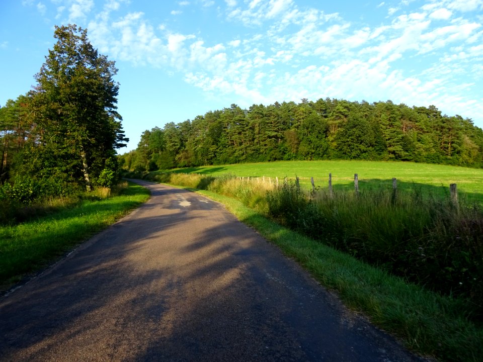 Sur une petite route entre Santenoge et Auberive, Haute-Ma… 