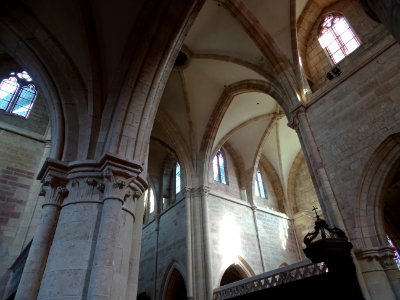 Voutes, abbaye de Saint-Seine, Saint-Seine-l'Abbaye, Côte-… 