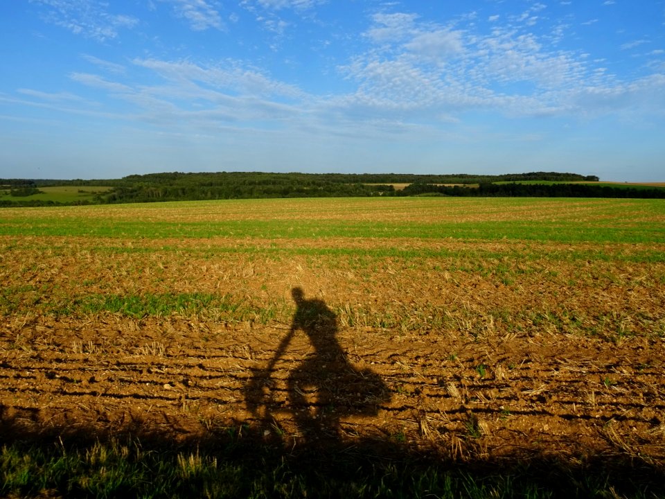 Sur la route en allant vers Poinson-lès-Grancey, Haute-Mar… 