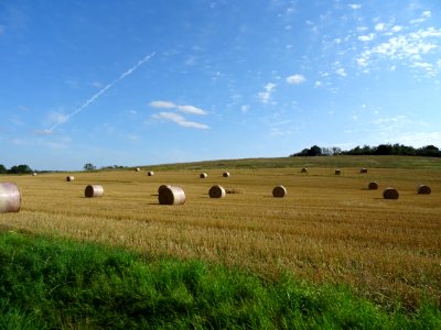 Bottes de foin roulées entre Bligny-le-Sec et Saint-Seine-… 