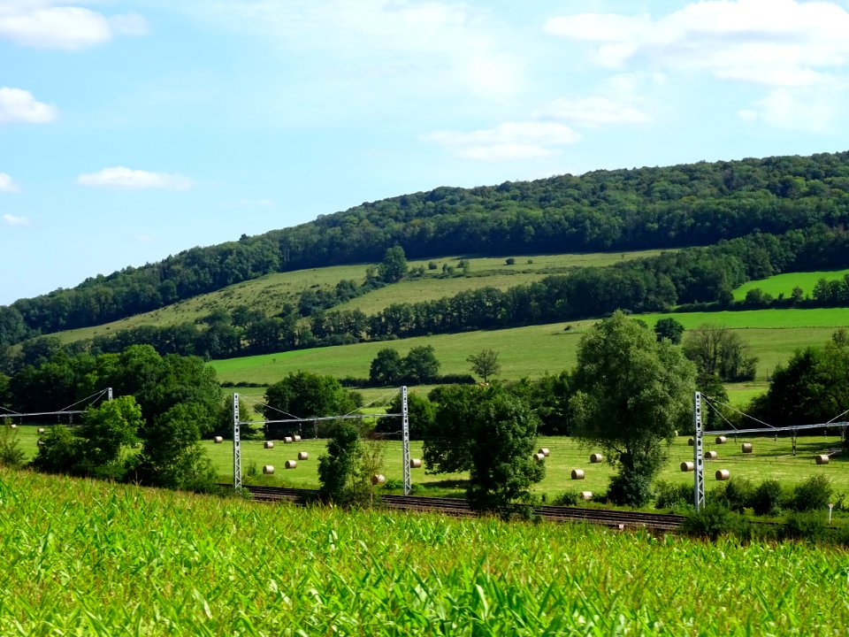 Paysage entre Gissey-sous-Flavigny et Thenissey, Côte-d'Or… 