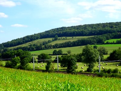 Paysage entre Gissey-sous-Flavigny et Thenissey, Côte-d'Or… 