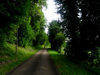Sur une petite route entre Voutenay-sur-Cure et Lucy-le-Bo… 