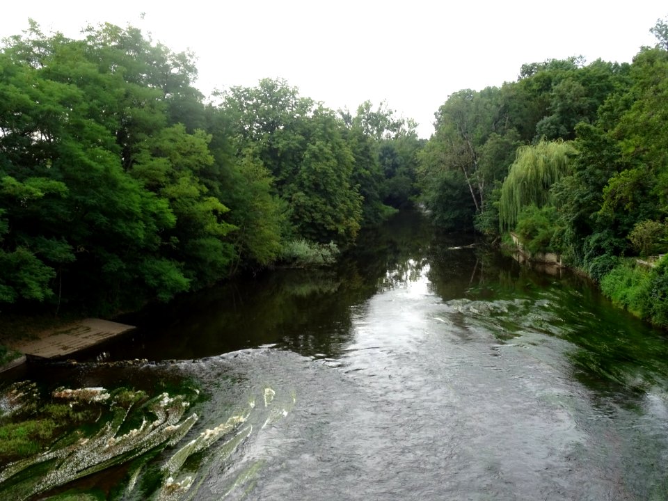 La Cure, au niveau d'Arcy-sur-Cure, Yonne 