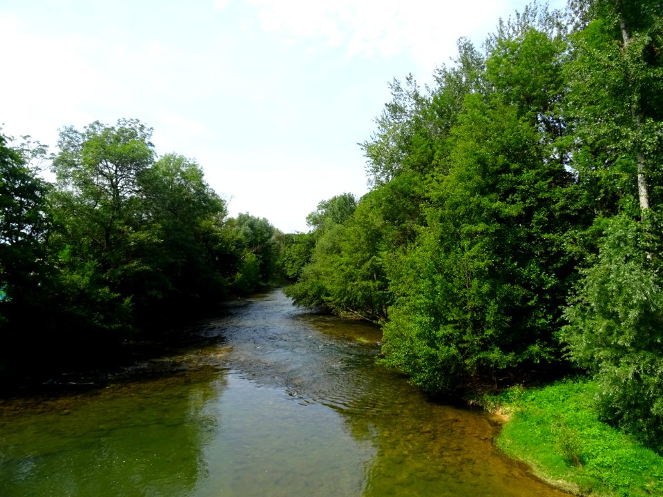 L'Armançon, entre Ancy-le-Franc et Cusy, Yonne 