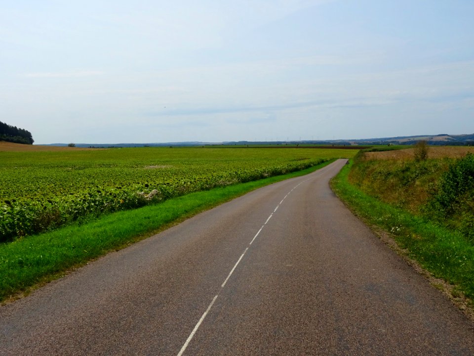 Sur la route entre Stigny et Ancy-le-Franc, Yonne 