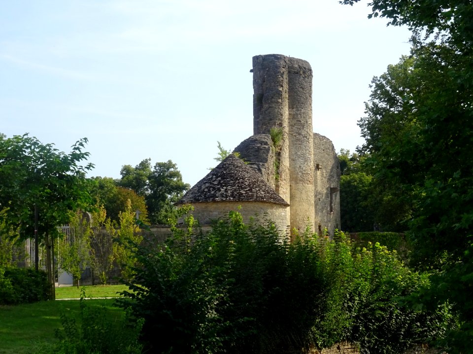 Ruines de l'ancien château des Ducs de Bourgogne, Châtillo… 