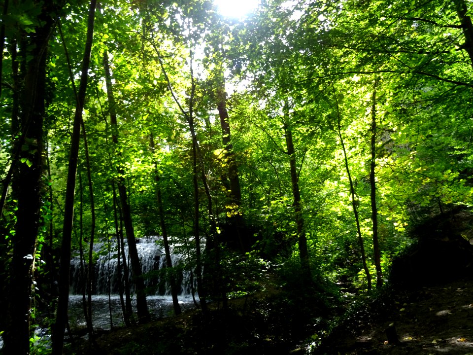 Cascade des Vaux de Cernay 