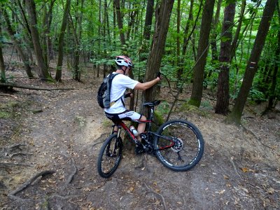 Tricoti, tricota ... entre l'arbre, le cycliste et le VTT … 