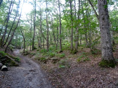 Ca grimpe pas mal dans le secteur ... et nos guibolles son… 