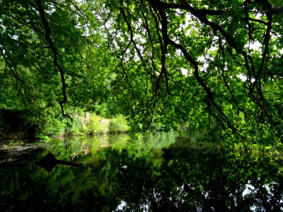 Etang de Cernay 