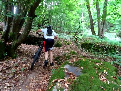 C'est reparti pour pousser pendant une sérieuse montée ! 