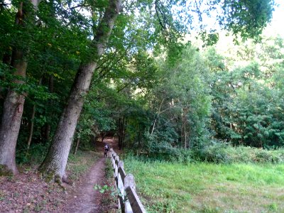 DSC09795 
