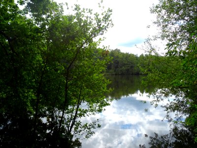 Etang de Cernay 
