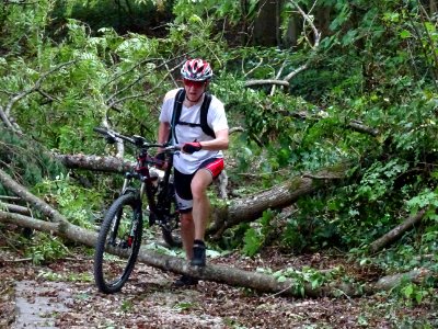 Passage avec portage pour franchir les branches d'un arbre… 