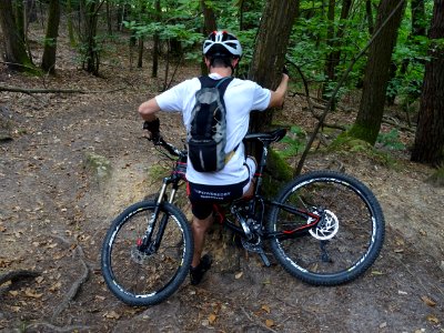 Tricoti, tricota ... entre l'arbre, le cycliste et le VTT … 