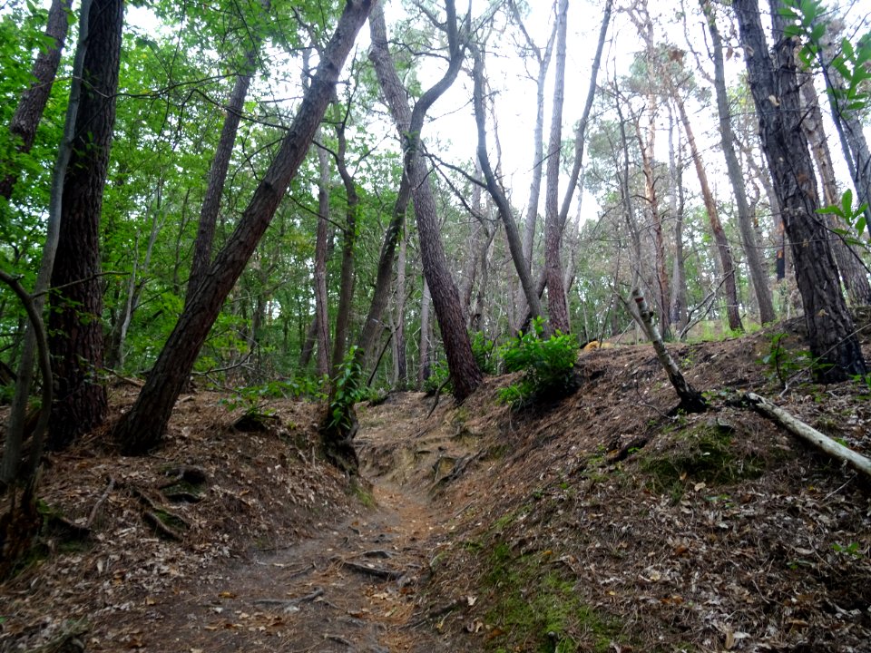 Fin de la descente ... un peu limite ... pente forte et so… 