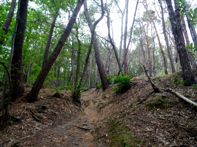 Fin de la descente ... un peu limite ... pente forte et so… 