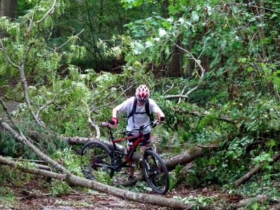 Passage avec portage pour franchir les branches d'un arbre… 