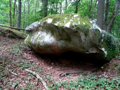 Très beau coin avec des rochers affleurant 