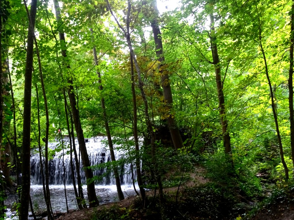 Cascade des Vaux de Cernay 