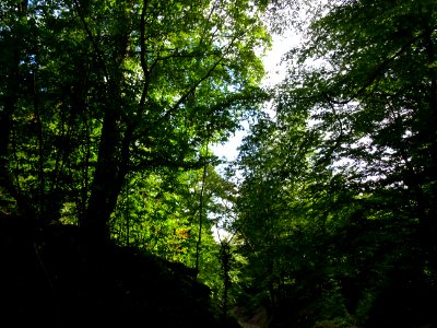 Une très belle lumière ... en cette fin de parcours 