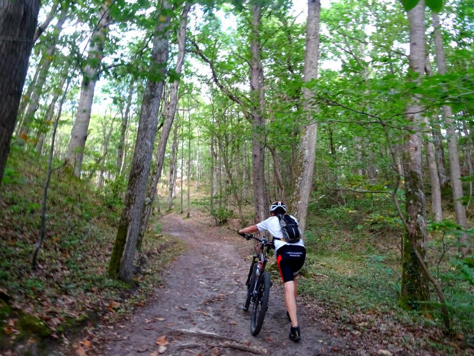 Encore une montée ... à pousser les VTT 