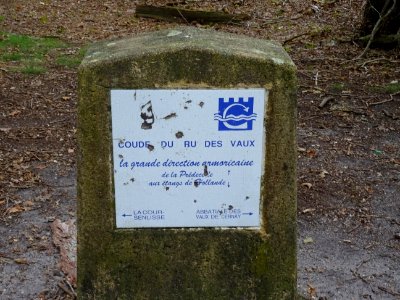 Coude du ru des Vaux 