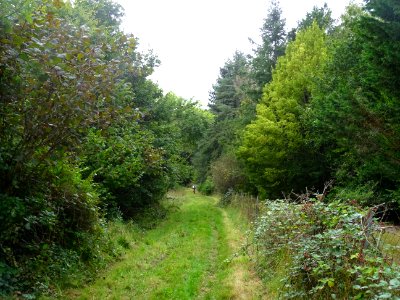 Jonction dans les herbes et les mottes de terre, terrain p… 