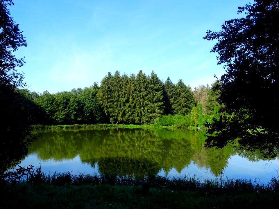 Petit étang entre Bazincourt-sur-Saulx et Lavincourt, Meus… 