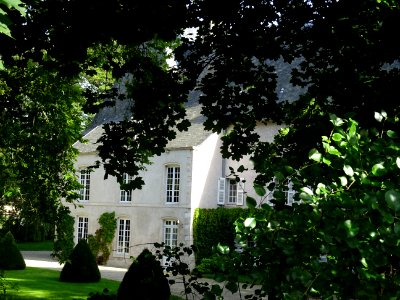 DSC00263 