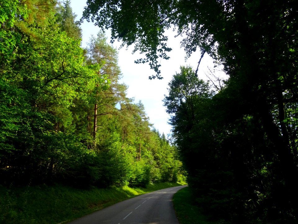Sur la route entre Neuilly-sur-Suize et Crenay, Haute-Marn… 