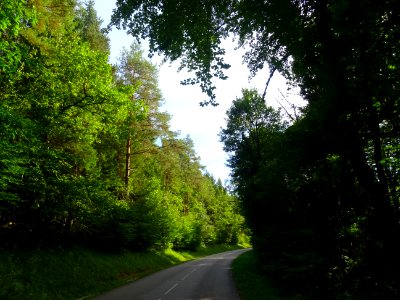 Sur la route entre Neuilly-sur-Suize et Crenay, Haute-Marn… 