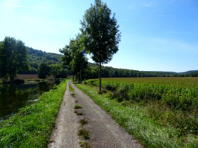 DSC00142 