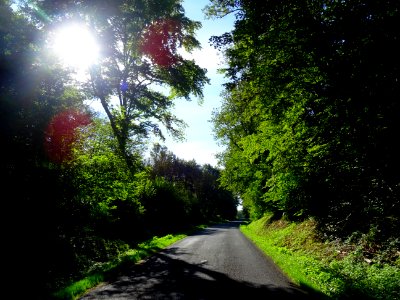 Clair-obscur sur la route entre Aulnois-en-Perthois et Sav… 
