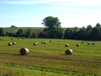 DSC00305 