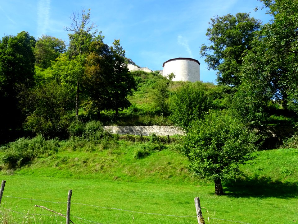 Tour restaurée ... de l'ancien château-fort de Vignory, Vi… 