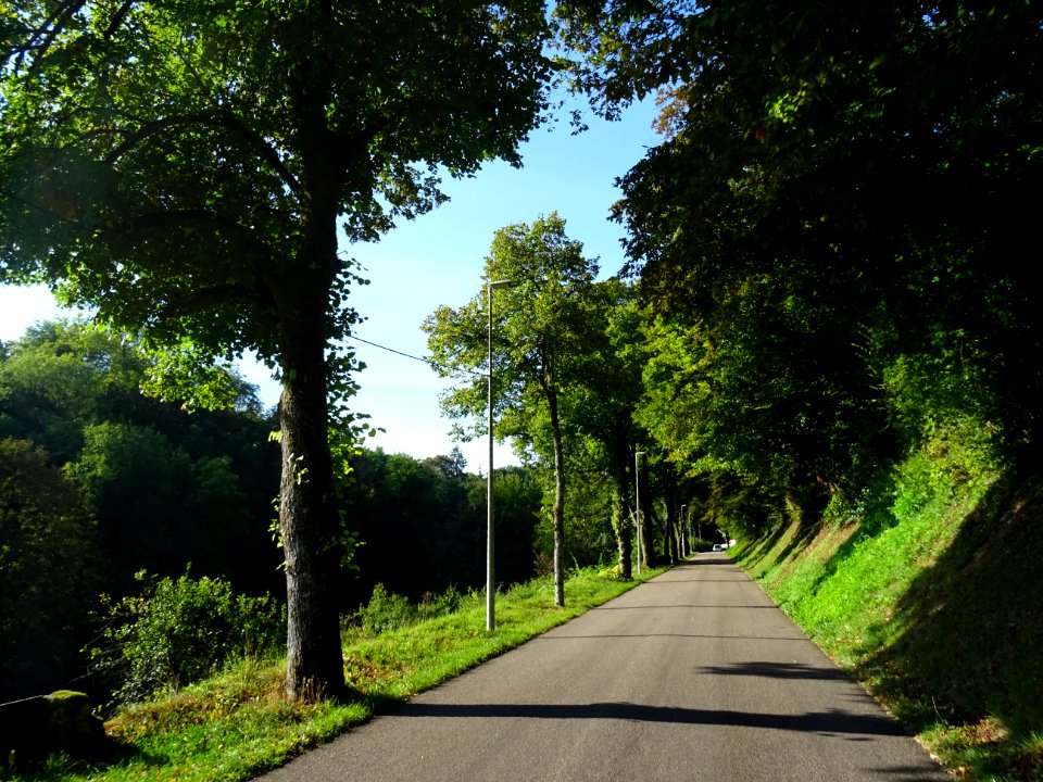 Sur la route entre Bar-le-Duc et Montplonne, Meuse 