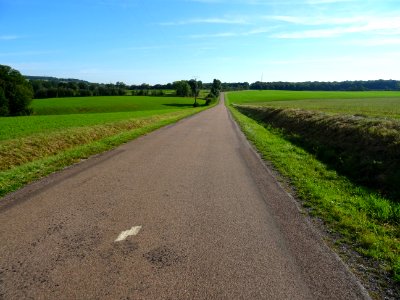 DSC00313 