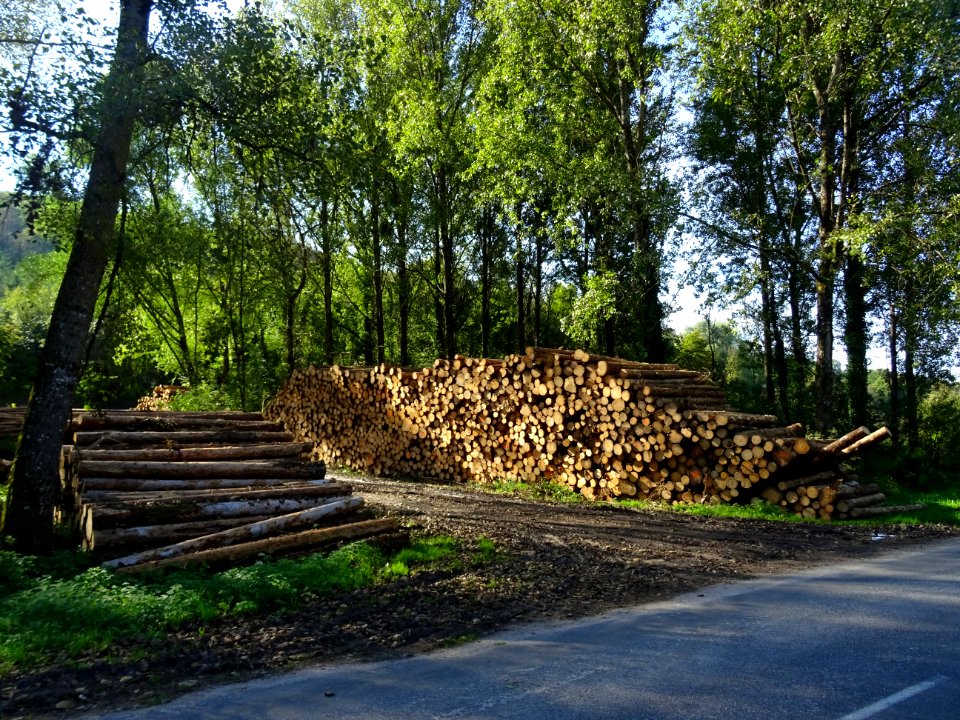 Tas de grumes entre Bar-le-Duc et Montplonne, Meuse 